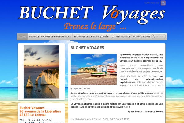 Voyage theme site design template sample