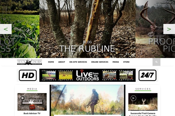 Braxton theme site design template sample