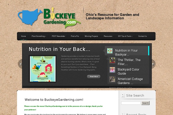 Polished theme site design template sample