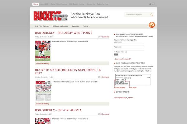 Flash News theme site design template sample