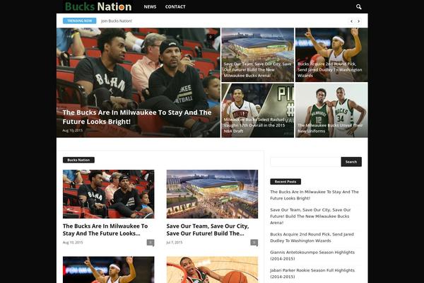 NewsMag theme site design template sample