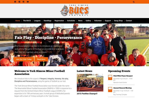 Sport theme site design template sample