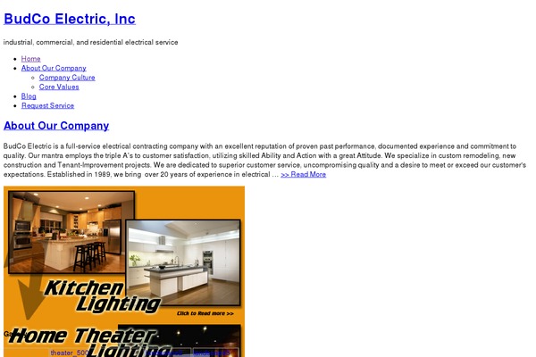 Amped Child theme site design template sample