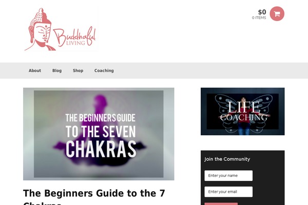 Peddlar theme site design template sample