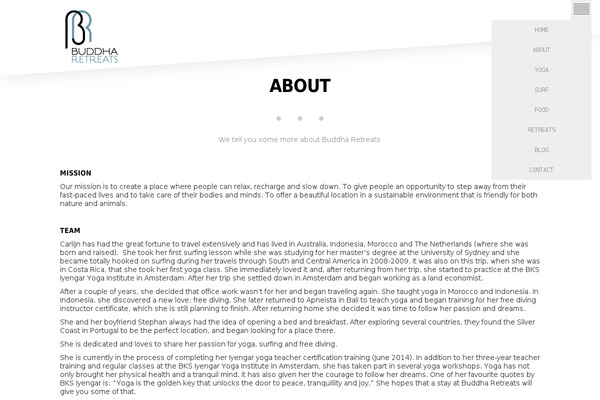 Case theme site design template sample