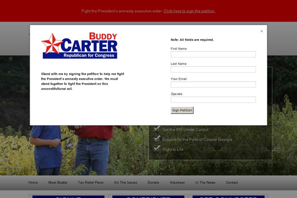 Custom theme site design template sample