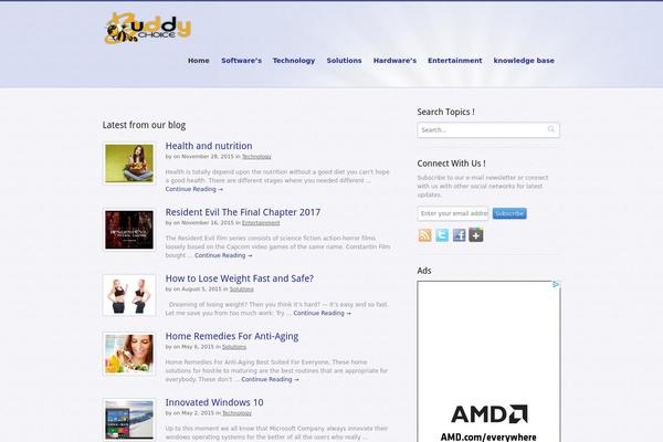Biznizz theme site design template sample