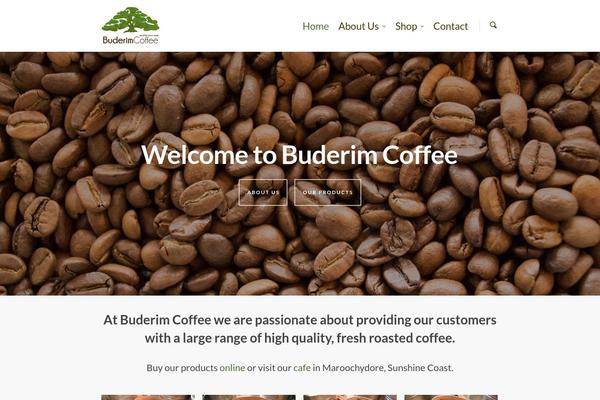 Salient theme site design template sample