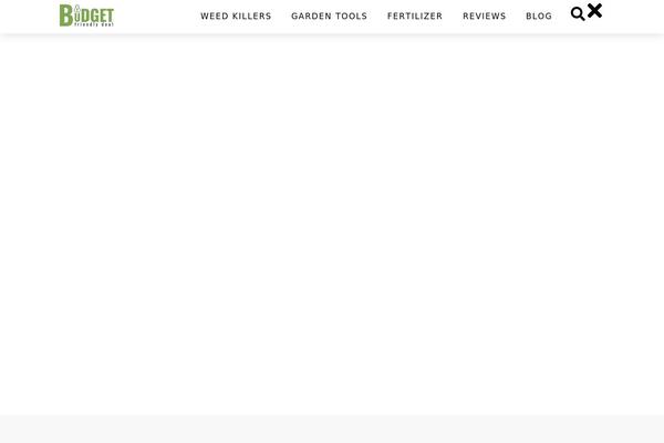 Site using WP Rocket plugin