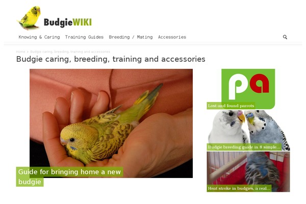 Site using Collapsible Widget Area plugin