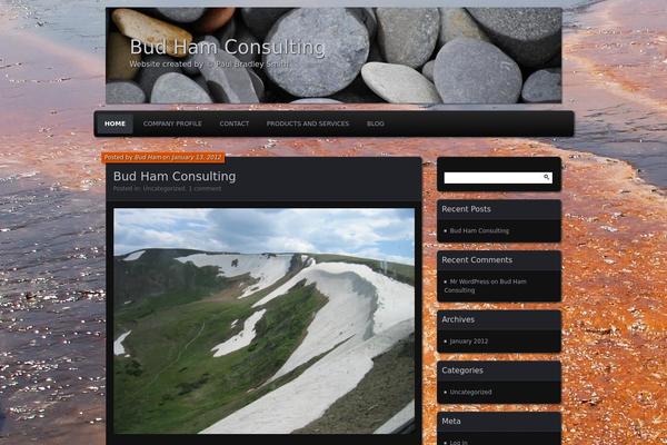 Parament theme site design template sample
