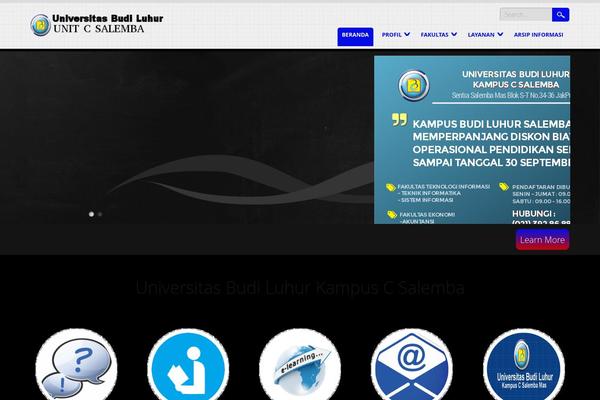 SunRain theme site design template sample