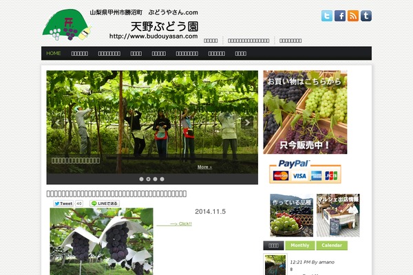 Site using WP Social Bookmarking Light plugin