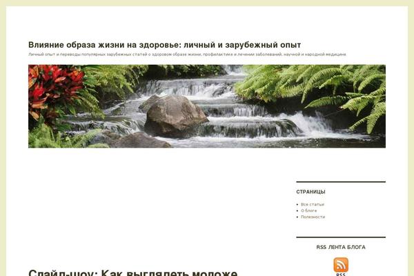 Mag-wp theme site design template sample