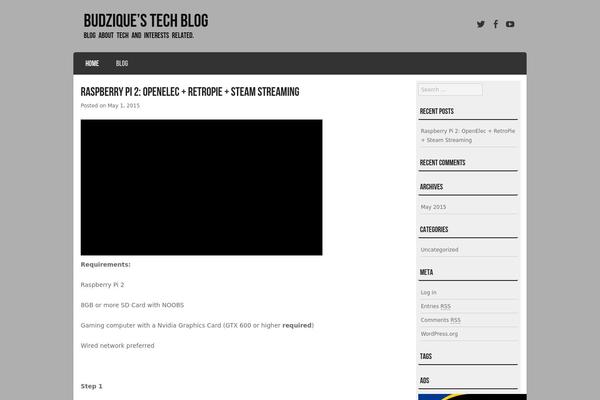 budzique.com site used Striker