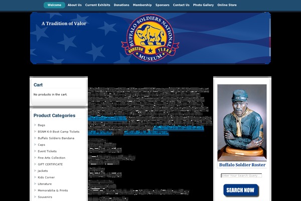 Site using ALO EasyMail Newsletter plugin