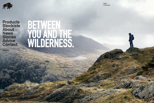 Buffalo theme site design template sample