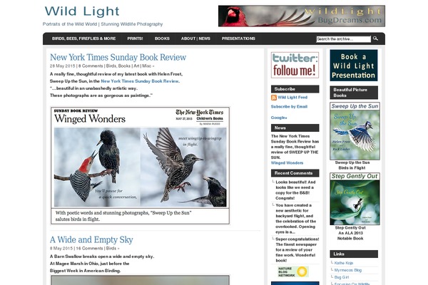 Arthemia theme site design template sample