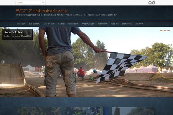 Professional theme site design template sample