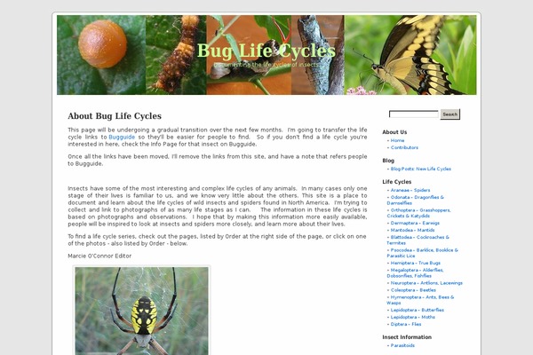 buglifecycle.com site used Defaultwide