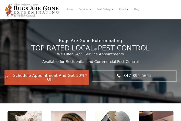 Uxi theme site design template sample