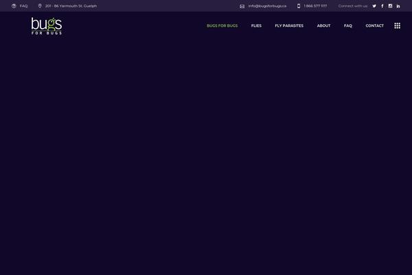 Brünn theme site design template sample