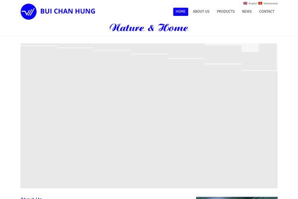 buichanhung.com site used Buichanhung