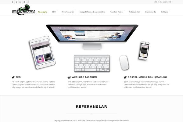 Site using WP Twitter Feeds plugin