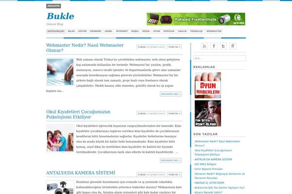 Bisade theme site design template sample