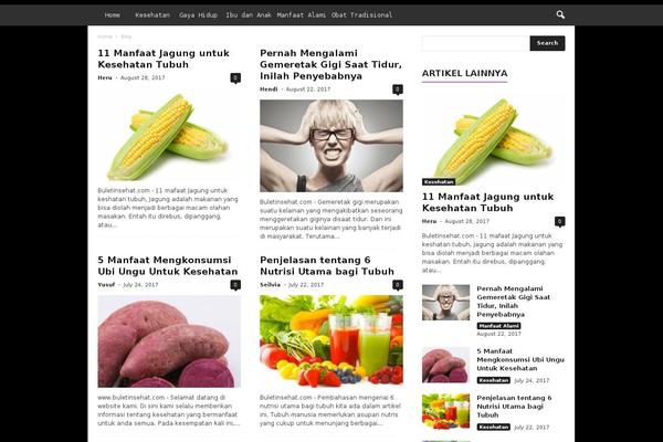 NewsMag theme site design template sample