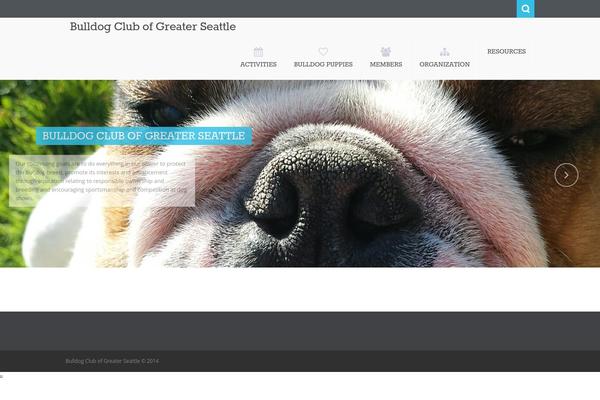 Nictitate theme site design template sample
