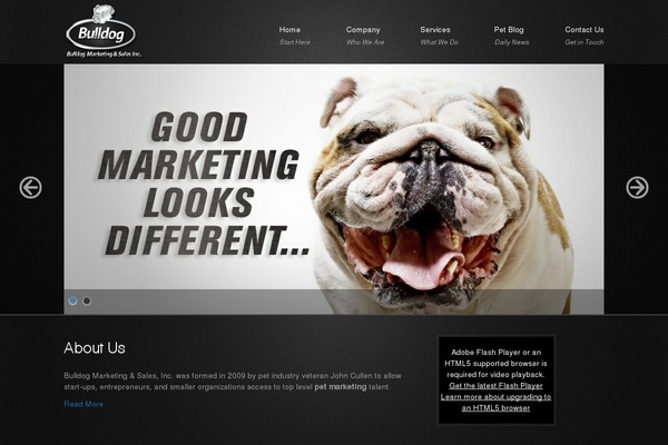 bulldogms.com site used Bulldog