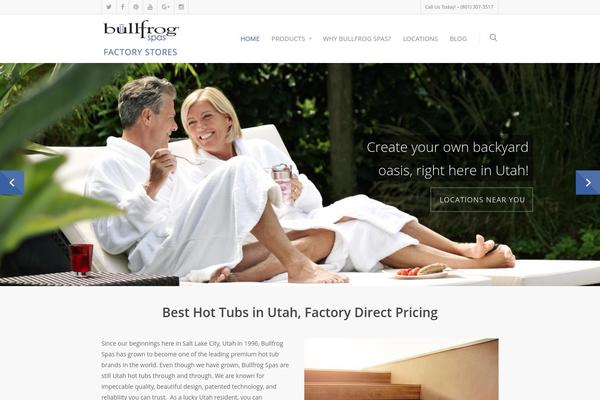 Salient theme site design template sample