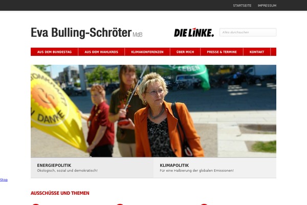 Pitch theme site design template sample