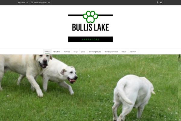 Highend theme site design template sample