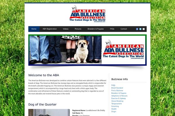 Blue Diamond v1.09 theme site design template sample