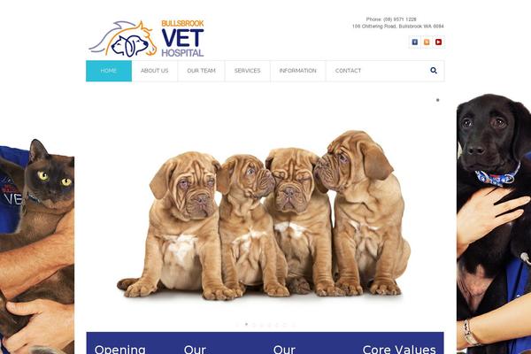 MediCure theme site design template sample