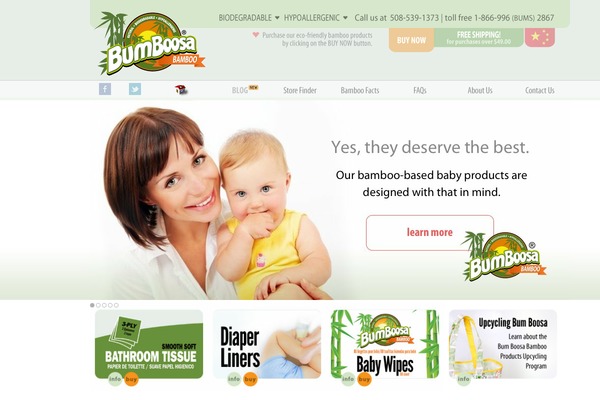 WP-Blossom  v1.02 theme site design template sample