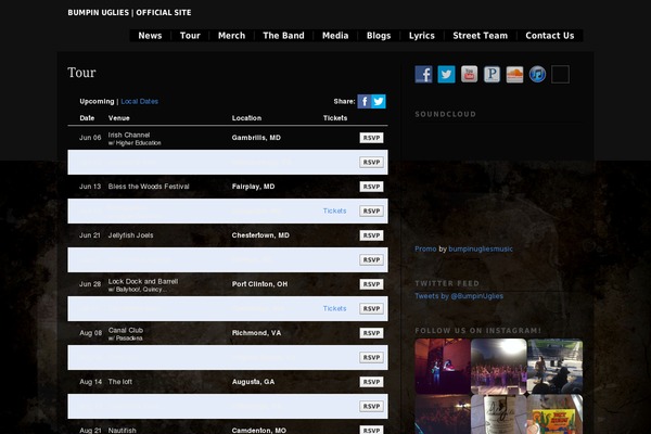 Modularity Lite theme site design template sample