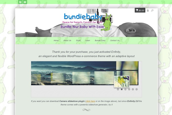 Enfinity theme site design template sample