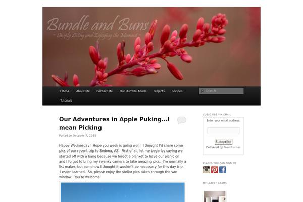 Site using CommentLuv plugin