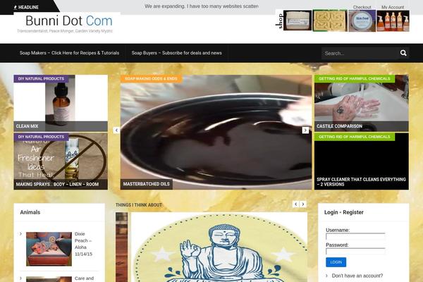 Site using Category Posts Widget plugin