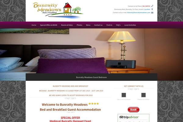 Ambassador theme site design template sample