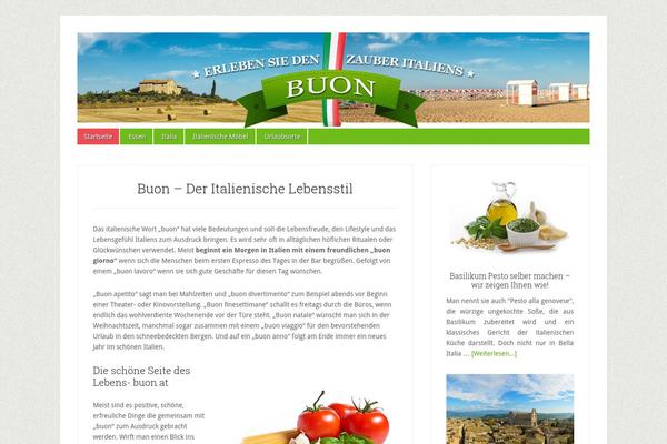 Lifestyle Pro theme site design template sample