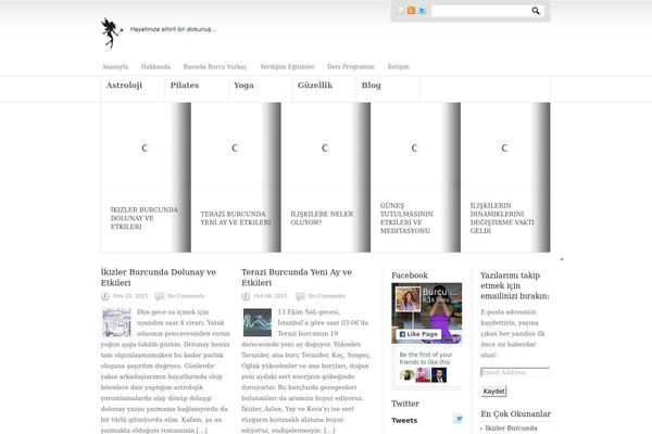 Newscast theme site design template sample