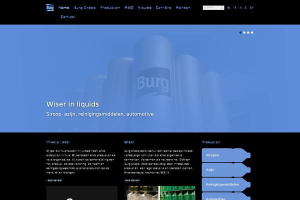 burggroep.com site used Burg