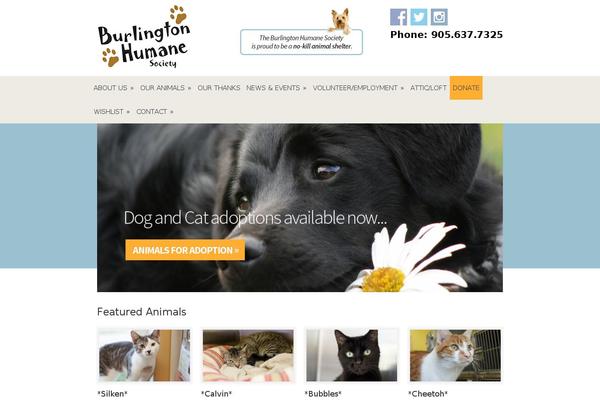 Site using Qi-addons-for-elementor plugin