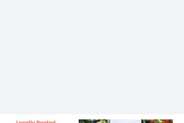 Site using Cff-carousel plugin