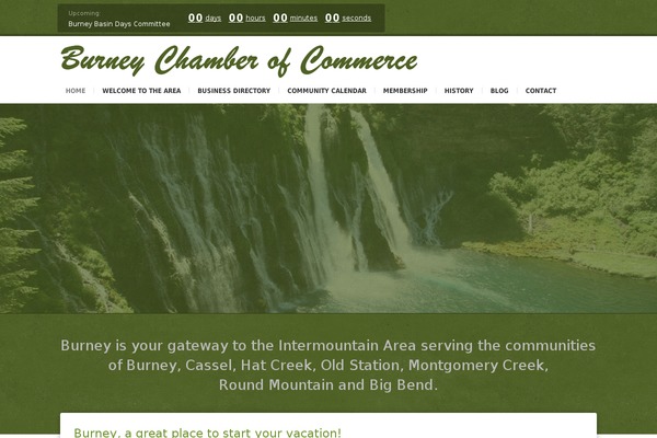 Incarnation theme site design template sample