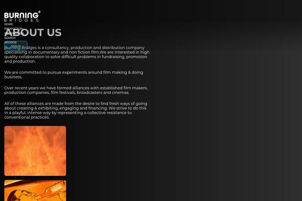 artfilms WordPress theme, websites list used artfilms theme artfilms theme websites examples